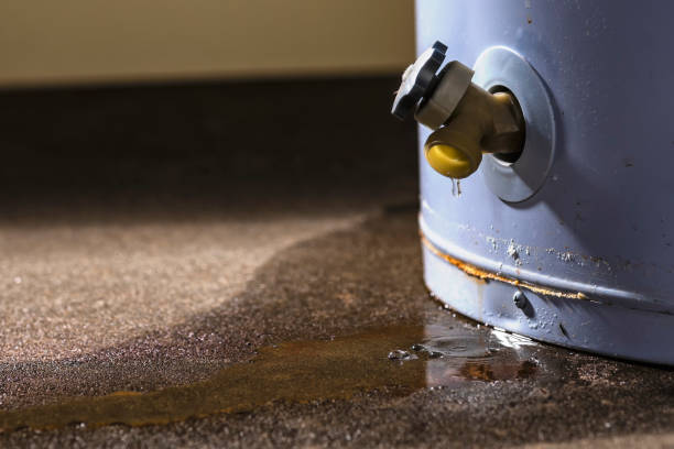 Best Carpet water damage restoration  in Adelanto, CA