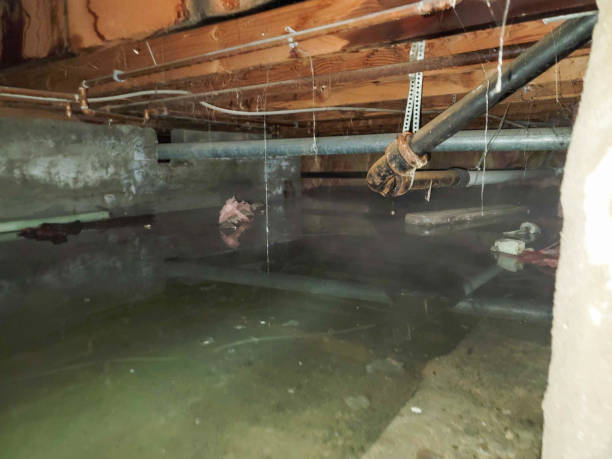 Best 24/7 water damage repair  in Adelanto, CA