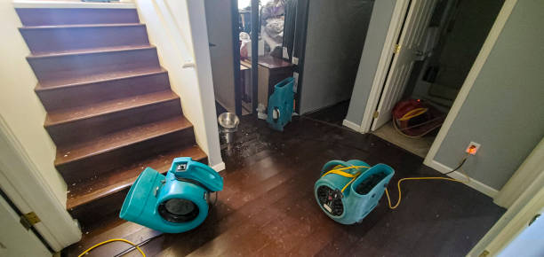 Best Water damage contractors near me  in Adelanto, CA