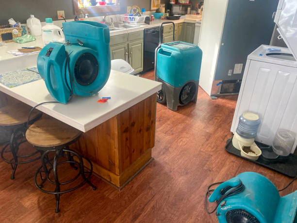 Best Flood damage cleanup  in Adelanto, CA