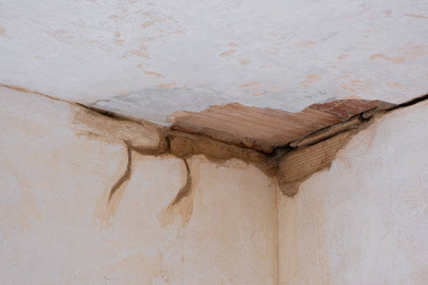  Adelanto, CA Water damage restoration Pros