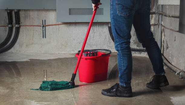 Best Emergency water damage restoration  in Adelanto, CA