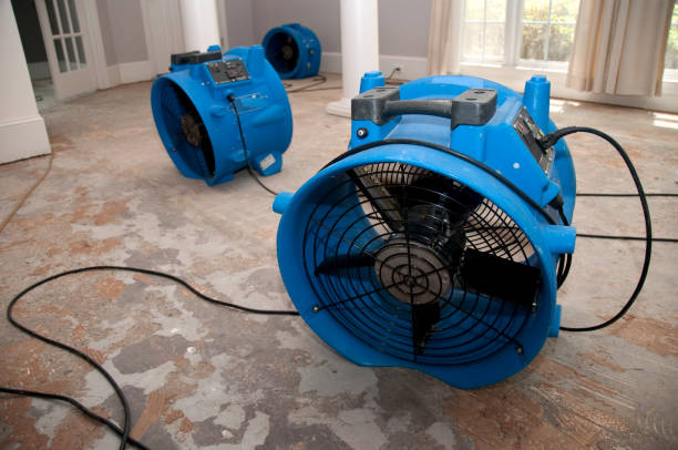 Best Flooded house restoration  in Adelanto, CA
