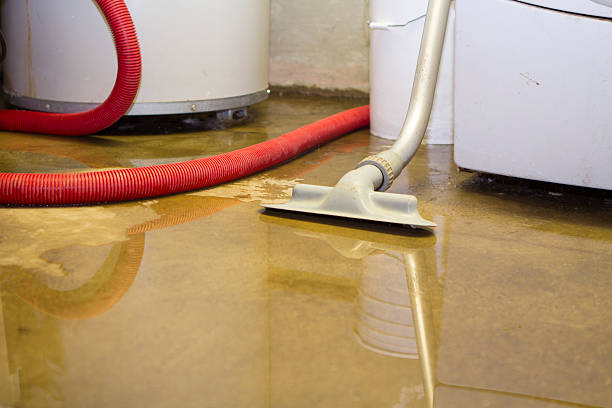 Best Sewage cleanup and water damage restoration  in Adelanto, CA
