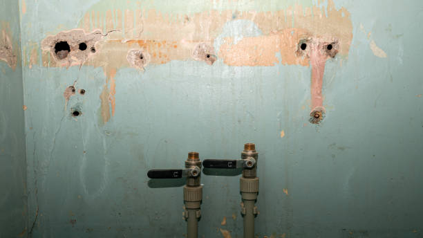 Best Water damage contractors near me  in Adelanto, CA
