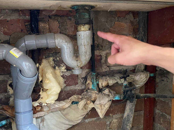 Best Local water damage restoration  in Adelanto, CA