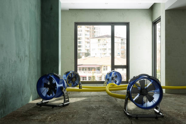 Best Professional water damage repair  in Adelanto, CA