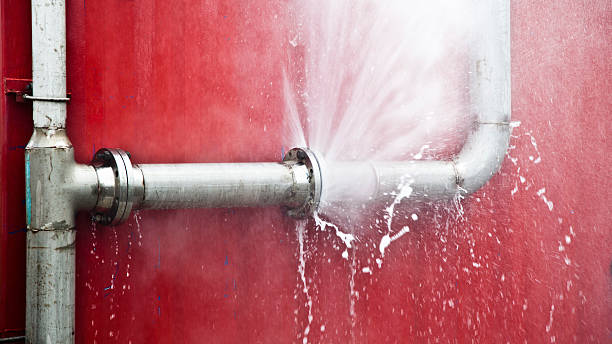 Best Flood damage cleanup  in Adelanto, CA