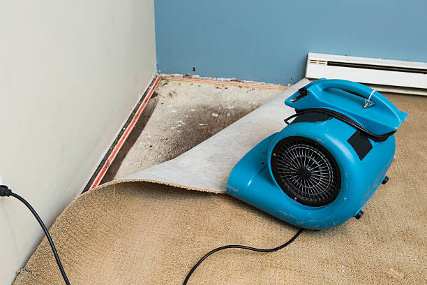 Best 24-hour water damage restoration  in Adelanto, CA